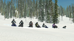 Sledders (для ПК, цифровой код доступа)