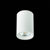 Светильник потолочный ST Luce ST114.507.01