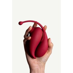 Клиторальный стимулятор и виброяйцо Inspiration от Adrien Lastic