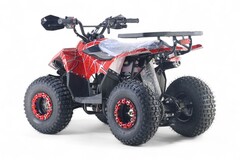 Детский бензиновый квадроцикл RiverToys LEON с электростартером