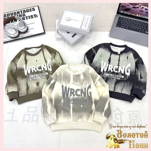 Свитшот хлопок м (2-7) 251026-А780