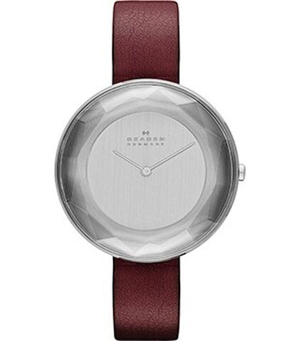 Наручные часы Skagen SKW2273 фото