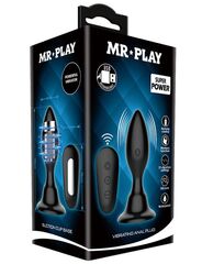 Черная анальная вибропробка с пультом Mr.Play - 10,8 см. - 