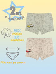 Боксеры для мальчика (2 штуки в упаковке)