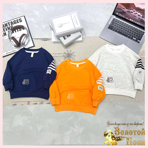 Свитшот хлопок м (2-7) 251026-А781