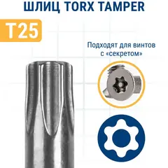 Бита отверточная ПРАКТИКА Профи Torx Tamper-25 х 50мм (2шт) (776-461)
