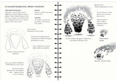 Sketchbook. Рисуем персонажей: игры, комиксы, анимация