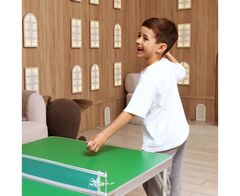 Теннисный стол детский DFC DANDELION 48