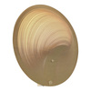 Светильник настенный ST Luce Fossil SL6900.501.16
