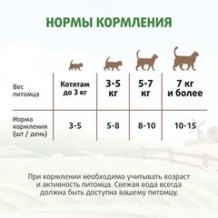 Мнямс Кот Федор 