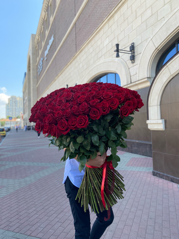 201 красная роза сорт «Эксплорер» (Эквадор)