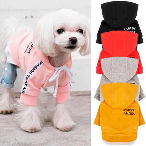 666 PA-TS Толстовка "PUPPY ANGEL"