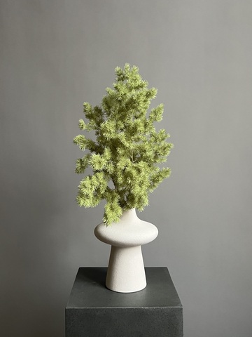 Аспарагус стабилизированный салатовый