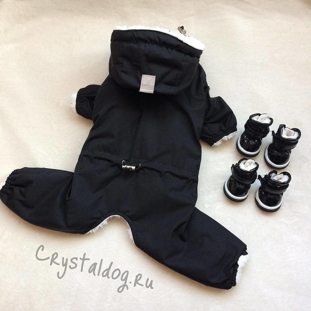 Комбинезон для собаки мальчика