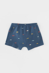 трусы/ уп  для мальчика  К 1930-2уп/пробковое дерево,гроз.туча,транспорт