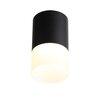 Светильник потолочный ST Luce ST100.442.05