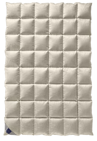 Одеяло 155х200 Billerbeck Excelsior Mono