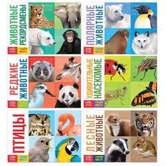 Обучающие книги набор «Удивительный мир» 6 шт.