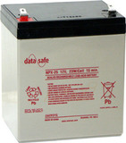 Аккумулятор EnerSys DataSafe NPX-25-12 ( 12V 5Ah / 12В 5Ач ) - фотография