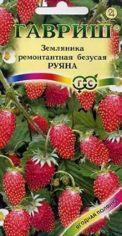 Земляника Руяна ремонтантная безусая 0.03г