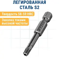 Бита отверточная ПРАКТИКА Профи Torx Tamper-25 х 50мм (2шт) (776-461)