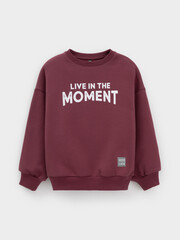 джемпер  для мальчика  КР 302802/коричневый 1614 к632