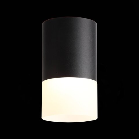 Светильник потолочный ST Luce ST100.442.05