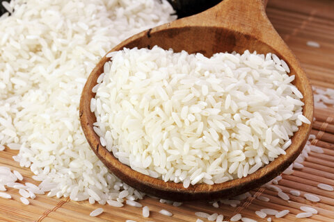 Протеины риса 10гр