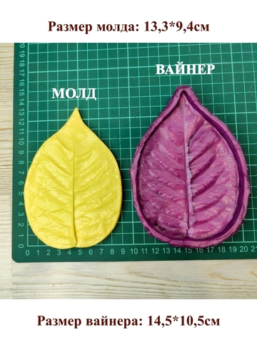 Молд+Вайнер 