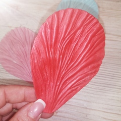 Роза Гладиолус МЛ34