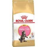 Сухой корм для котят крупных пород Royal Canin Maine Coon Kitten 4 кг