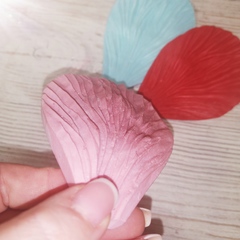 Роза Гладиолус МЛ34