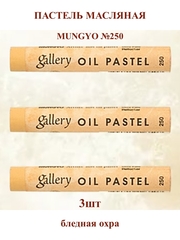Пастель масляная мягкая профессиональная MUNGYO Gallery Бледная охра №250 (3шт)