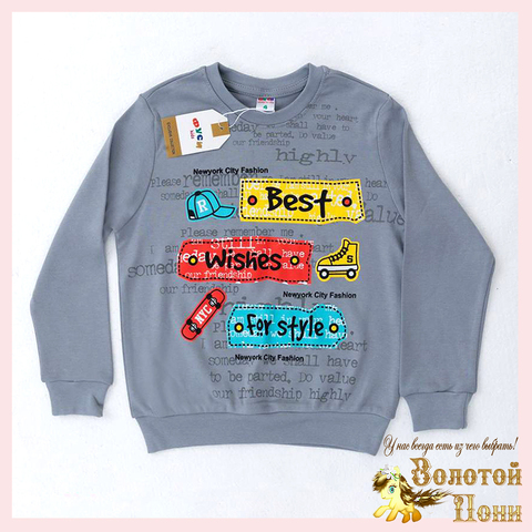Свитшот хлопок м (1-4) 251031-FU101