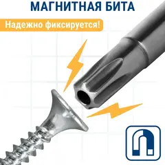Бита отверточная ПРАКТИКА Профи Torx Tamper-25 х 50мм (2шт) (776-461)