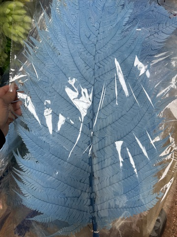 Листья папоротника большие 60-70см Голубой (10 шт упаковка)