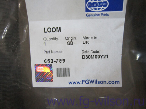 Проводка / LOOM ECM TO RELAY BOX. 2306/280 АРТ: 653-759