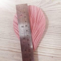 Роза Гладиолус МЛ34