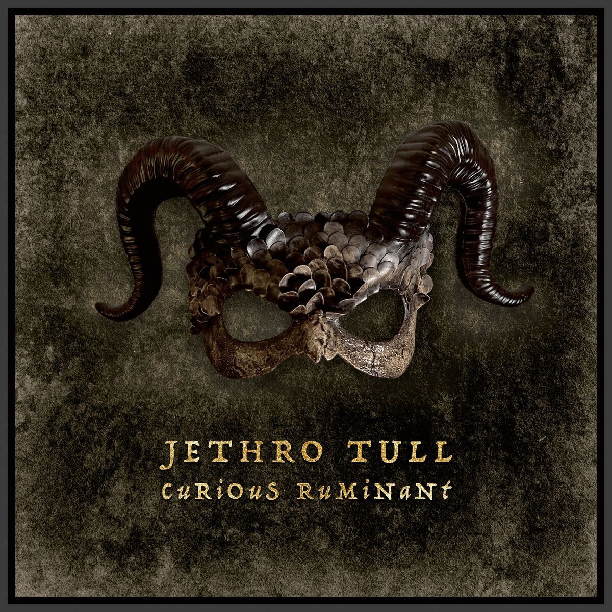 Jethro tull curious ruminant 2025 Jethro tull curious ruminant 2025