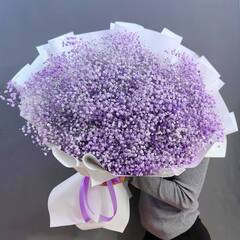 Букет из сиреневой гипсофилы