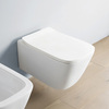 ASV005 05 00 Artceram A16 Унитаз подвесной, 455х36см, (Mini), безободковый, с крепежом, цвет: белый матовый