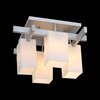 Люстра потолочная ST Luce Caset SL541.102.04