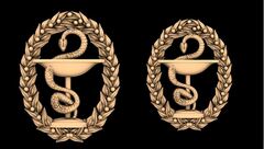 Силиконовый молд № 450 Эмблема медицины