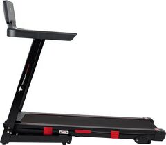 Беговая дорожка Titanium Masters Physiotech M380