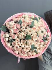 Букет из 51 пионовидных роз "Менсфилд Парк"