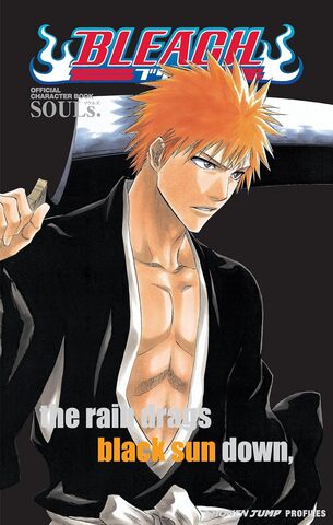 Артбук Bleach SOULs. Official Character Book (На английском Языке) (БАМП)