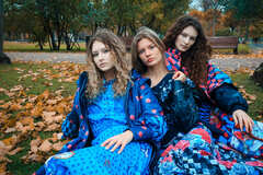 Fox and Swan. Kolomenskoye.