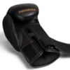 Перчатки Hayabusa E1 Black/Gold