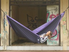 Гамак средний Ticket to the Moon Original Hammock Navy Blue/Purple