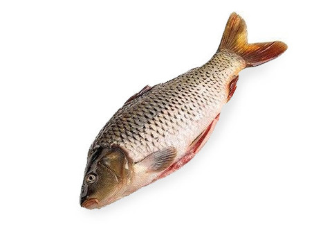 Карп охлажденный НЕПОТРОШЕНЫЙ~1.5кг